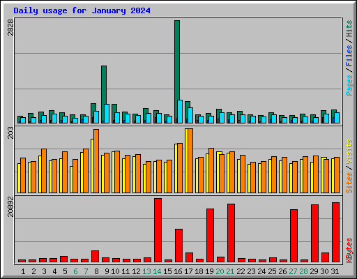 Daily usage for January 2024